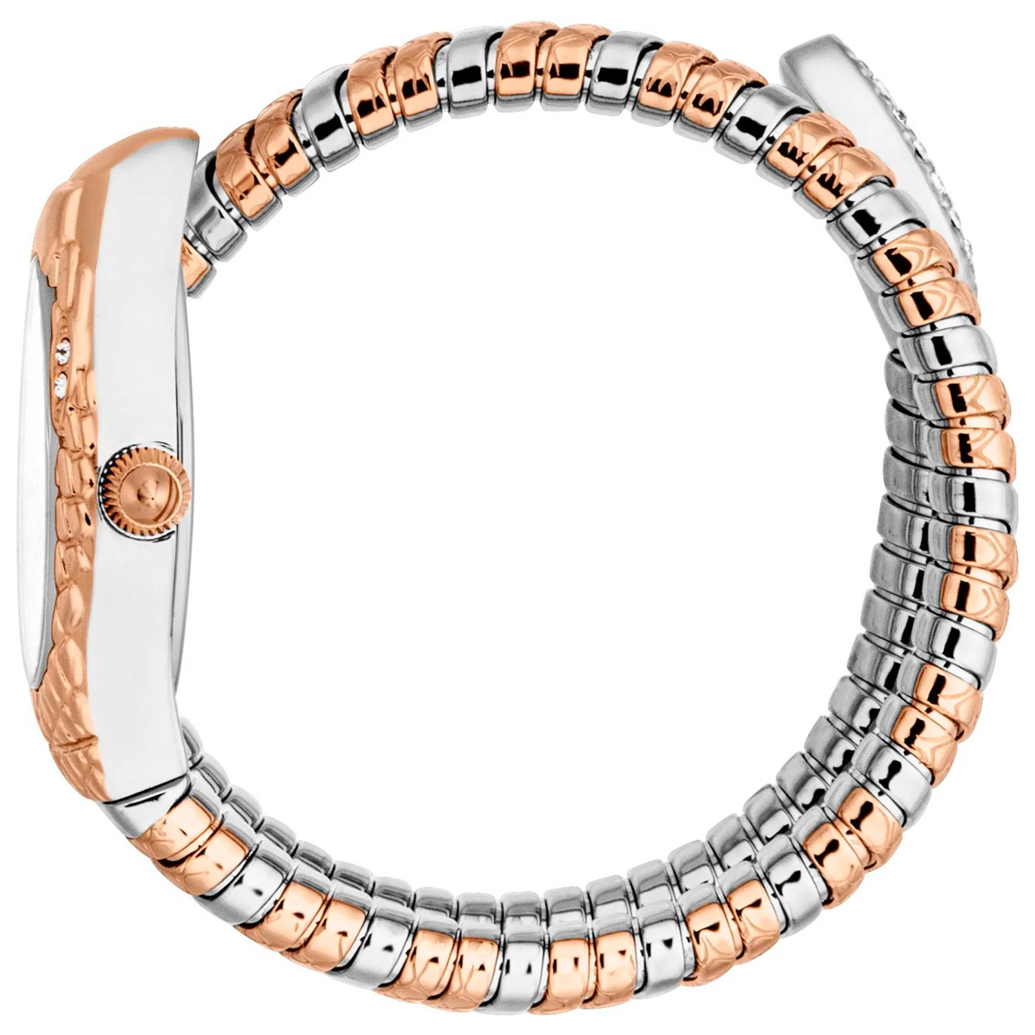 Just Cavalli JC1L373M0065